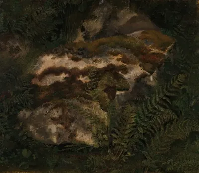 Study Of An Moss Covered Stone And Ferns