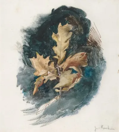 Study Of An Oak Leaf