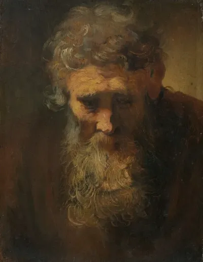 Study Of An Old Man