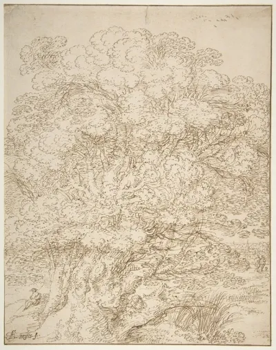 Study Of An Old Tree