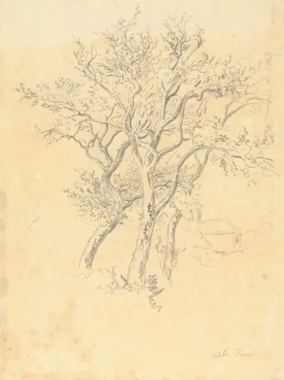 Study Of Apple Trees