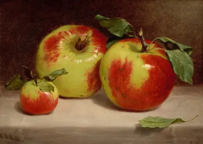 Study Of Apples From Nature