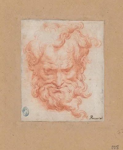 Study Of Bearded Man