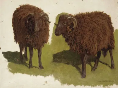 Study Of Black Rams