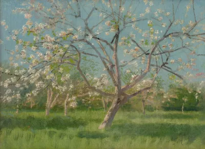 Study Of Blooming Trees In An Orchard