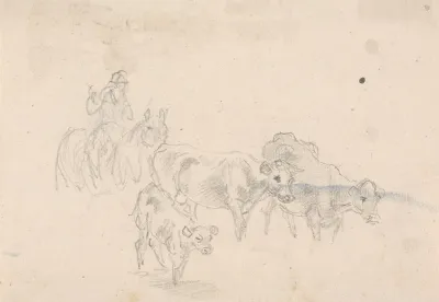 Study Of Cattle With A Calf In Foreground