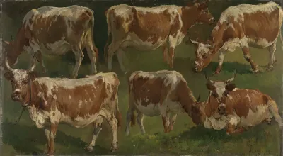 Study Of Cows 2