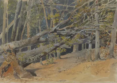 Study Of Cut Down Trees