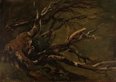 Study Of Decaying Tree