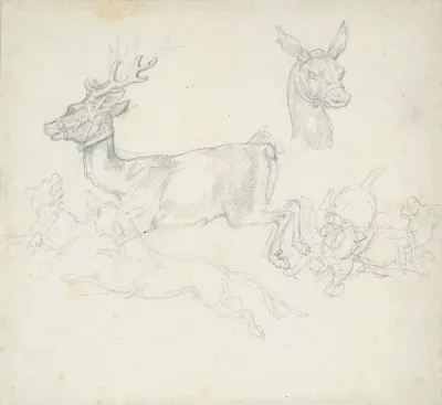 Study Of Deer Chased By Dogs Does Head