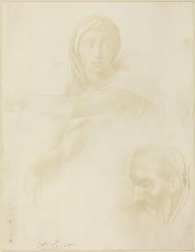Study Of Delphic Sibyl Head Of A Man