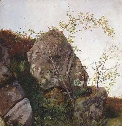 Study Of Dog Roses And Ferns