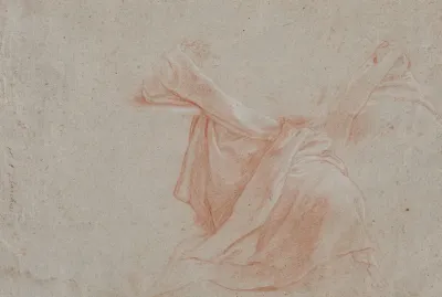 Study Of Draperies