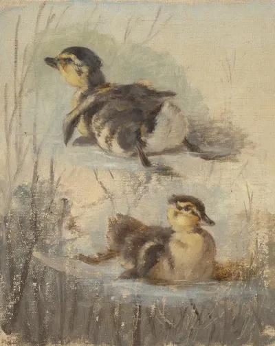 Study Of Ducks On The Water Ii
