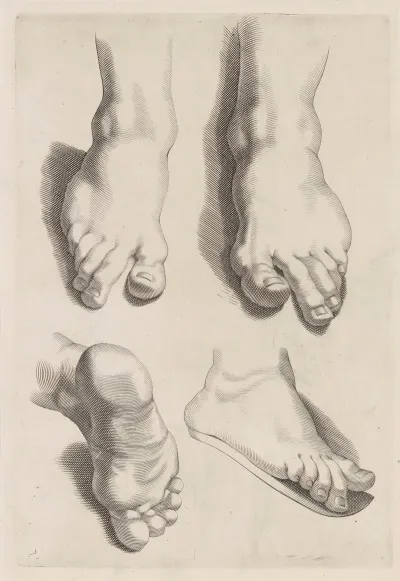 Study Of Feet 2