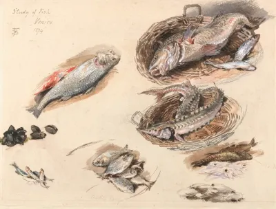 Study Of Fish Venice 2