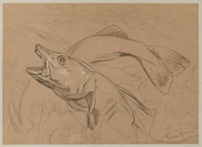 Study Of Fish