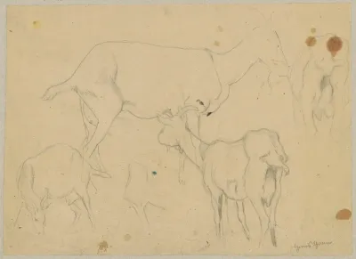 Study Of Goats 3