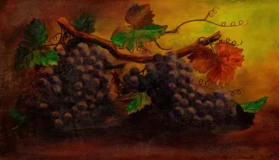 Study Of Grapes