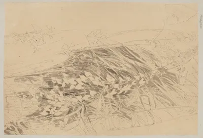 Study Of Grass And Convolvulus