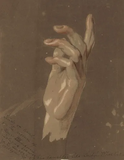 Study Of Hand