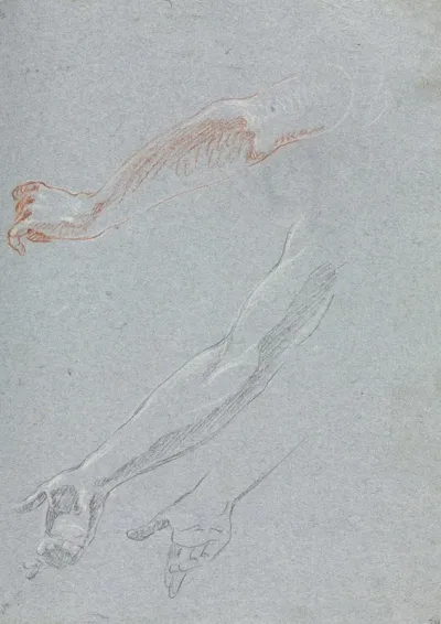 Study Of Hands And Arms
