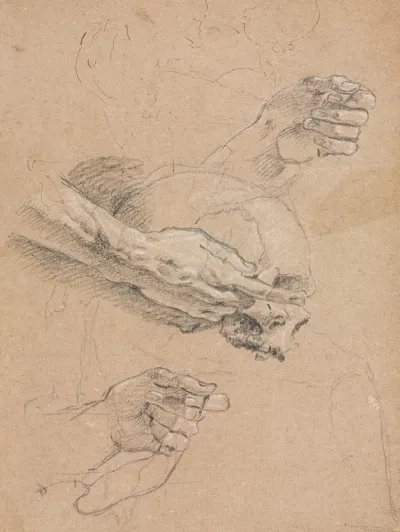 Study Of Hands And Skull