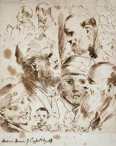 Study Of Heads 4
