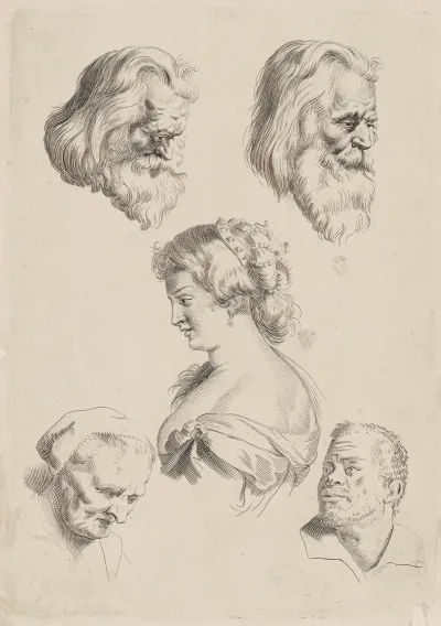 Study Of Heads 5