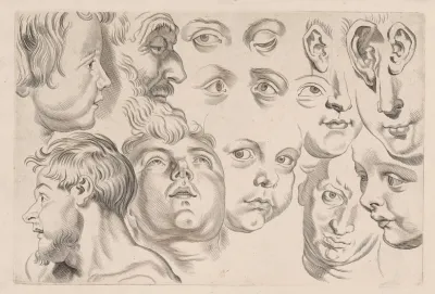 Study Of Heads 6