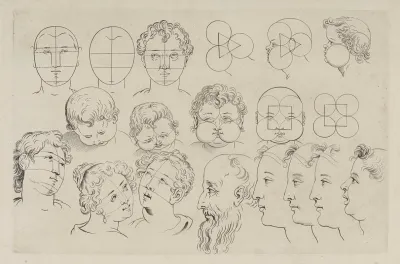 Study Of Heads 7