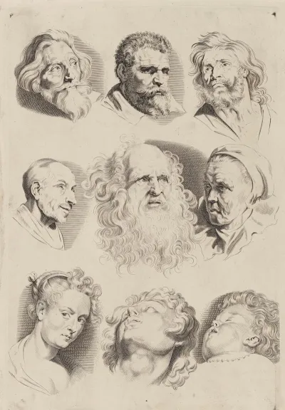 Study Of Heads 8