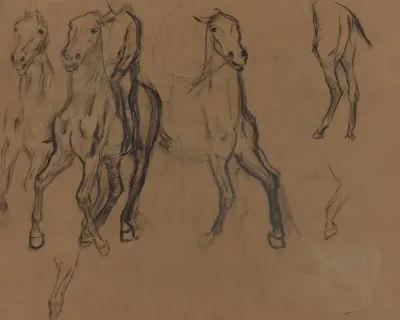 Study Of Horses