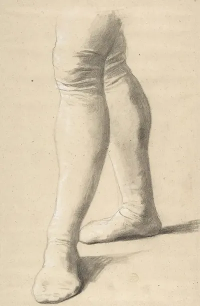 Study Of Legs 2