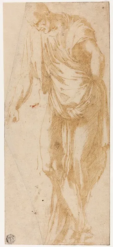 Study Of Levi