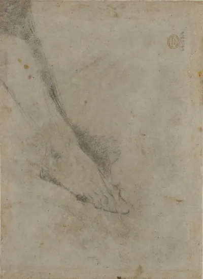Study Of Lower Leg And Right Foot