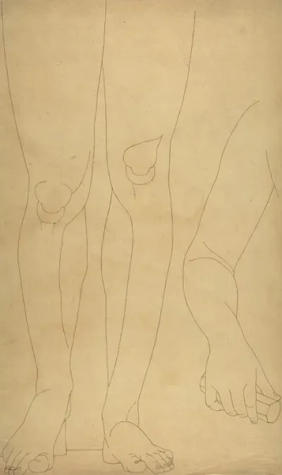 Study Of Lower Legs And An Arm