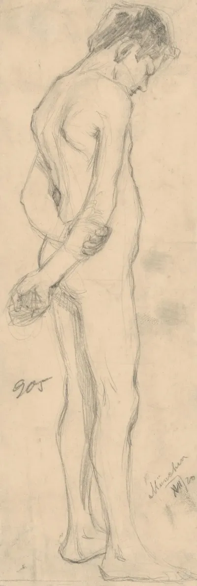 Study Of Male Nude