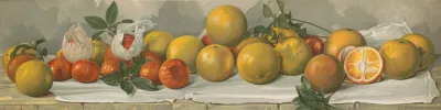 Study Of Oranges