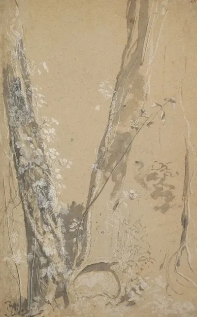 Study Of Overgrown Trees