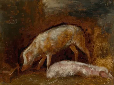 Study Of Pigs