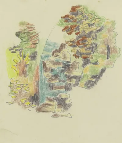 Study Of Plants 4