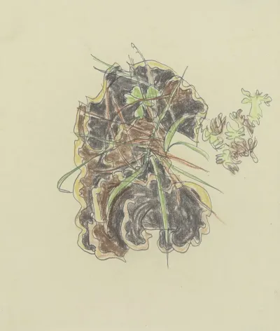 Study Of Plants 5