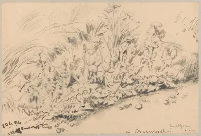 Study Of Plants 7