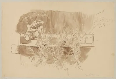 Study Of Plants In Flower Pots On A Balcony