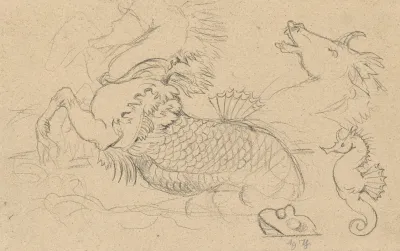 Study Of Sea Creatures