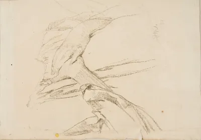 Study Of The Arms Crossed On The Chest