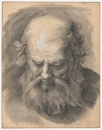 Study Of The Head Of A Bearded Man 3