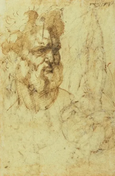 Study Of The Head Of A Bearded Man