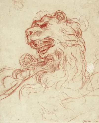 Study Of The Head Of A Lion